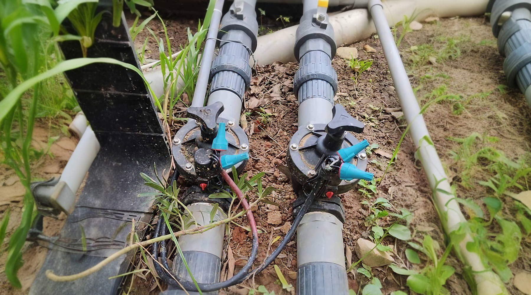Water-Tight Wonder: Why 4K+ Users Trust Dicio's Waterproof Connectors